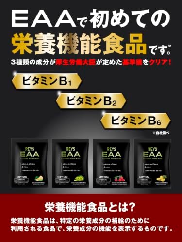 REYS レイズ EAA お試し セット 個包装 12g × 4種 山澤礼明 監修 必須アミノ酸 9種配合 600g 栄養機能食品 ベータアラニン 1日分のビタミンB群3種配合 国産 BCAA