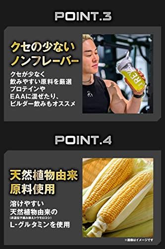 REYS レイズ グルタミン パウダー 520g 山澤礼明 監修【使用目安 約104回分】L-グルタミン 100%使用 アンフレーバー
