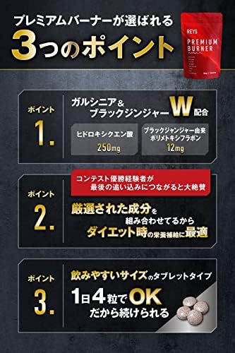 REYS レイズ 【PREMIUM BURNER】 プレミアムバーナー 120粒 （使用目安約30回分）山澤礼明監修 8種の厳選成分配合 ガルニシア（HCA） ブラックジンジャー カルニチン ヒハツ αリポ酸 カフェイン ナイアシン パントテン酸