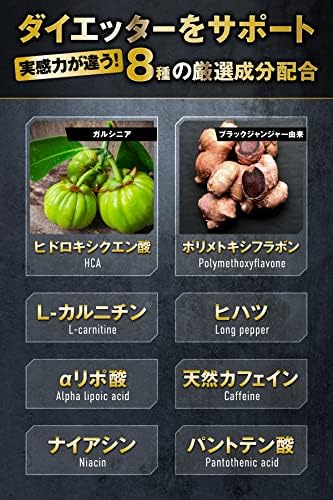 REYS レイズ 【PREMIUM BURNER】 プレミアムバーナー 120粒 （使用目安約30回分）山澤礼明監修 8種の厳選成分配合 ガルニシア（HCA） ブラックジンジャー カルニチン ヒハツ αリポ酸 カフェイン ナイアシン パントテン酸
