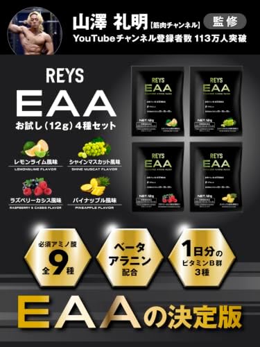 REYS レイズ EAA お試し セット 個包装 12g × 4種 山澤礼明 監修 必須アミノ酸 9種配合 600g 栄養機能食品 ベータアラニン 1日分のビタミンB群3種配合 国産 BCAA