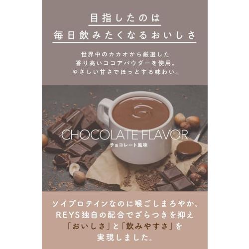 REYS レイズ ソイ プロテイン 山澤 礼明 監修 1kg 国内製造 ビタミン7種配合 SOY ぷろていん ソイプロテイン (チョコレート風味)
