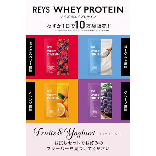 REYS レイズ ホエイ プロテイン お試し セット 個包装 30g × 4種 山澤 礼明 監修 国内製造 ビタミン7種配合 WPCプロテイン ぷろ 送料無料