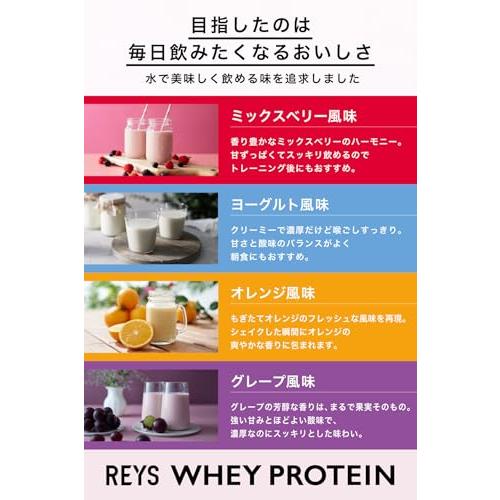 REYS レイズ ホエイ プロテイン お試し セット 個包装 30g × 4種 山澤 礼明 監修 国内製造 ビタミン7種配合 WPCプロテイン ぷろ 送料無料